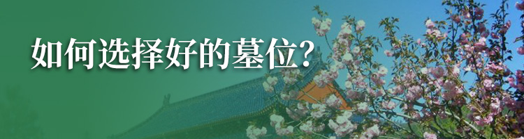海淀区西山骨灰林