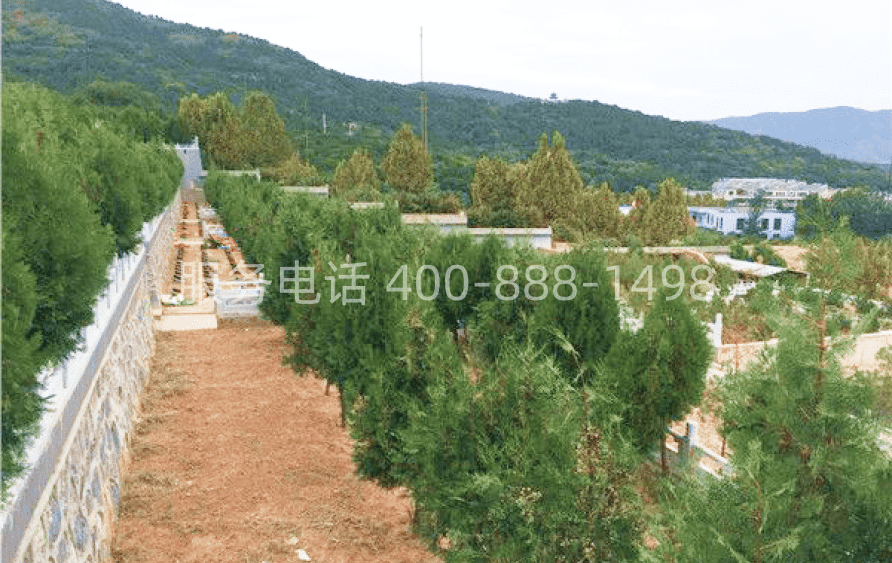 西山骨灰林环境图02