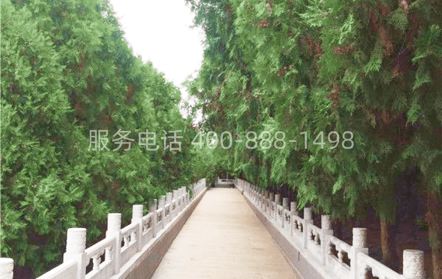 西山骨灰林环境图04